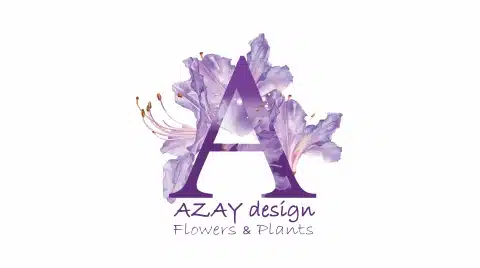 Azay jpg
