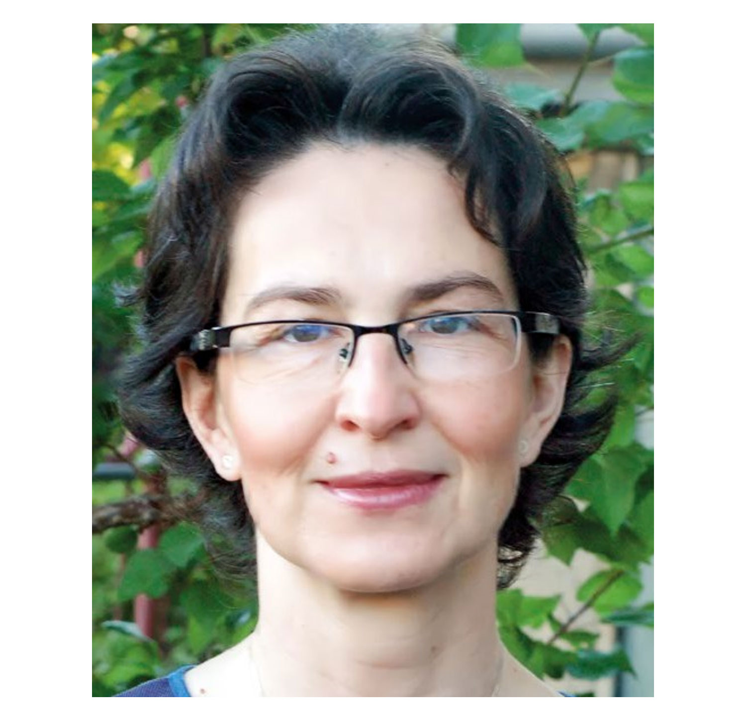 Professor Dana Craiu