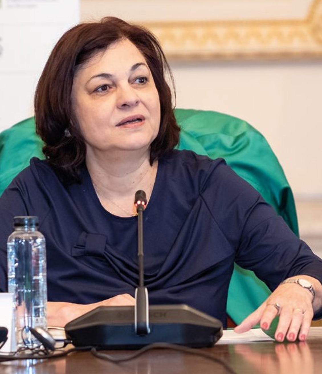 Silvia Vlasceanu